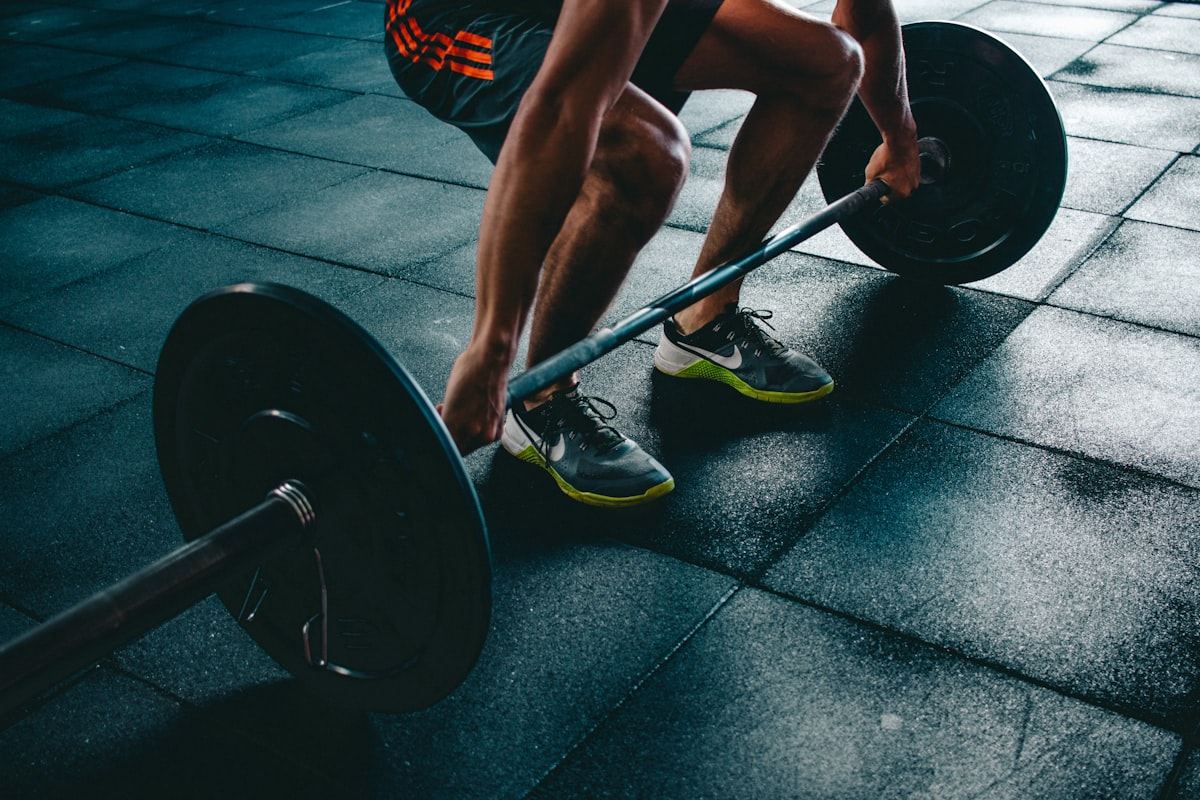 Strength training equipment in a gym setting